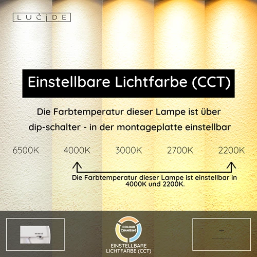 Lucide FELSTED - Pendelleuchten - LED Dim. - CCT - 1x28W 2200K/4000K - Schwarz | Vibes - USP